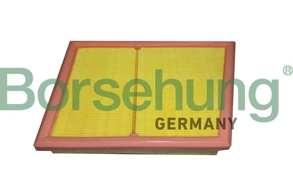B12451 Borsehung