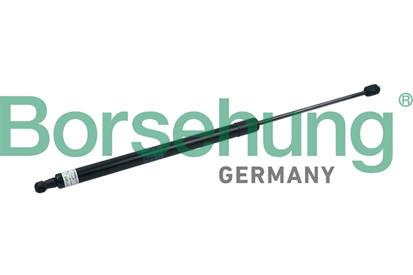 B18458 Borsehung