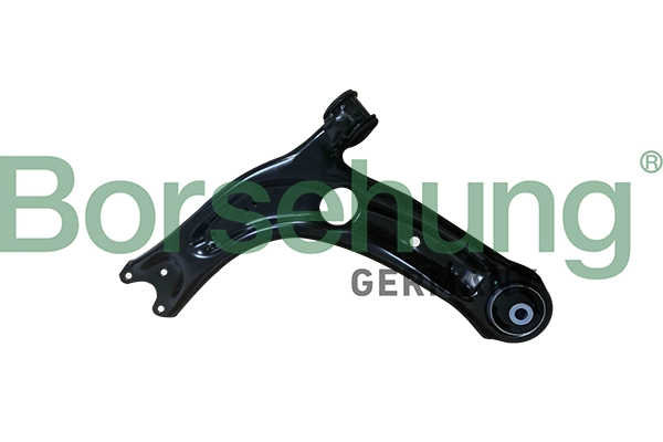 B10858 Borsehung
