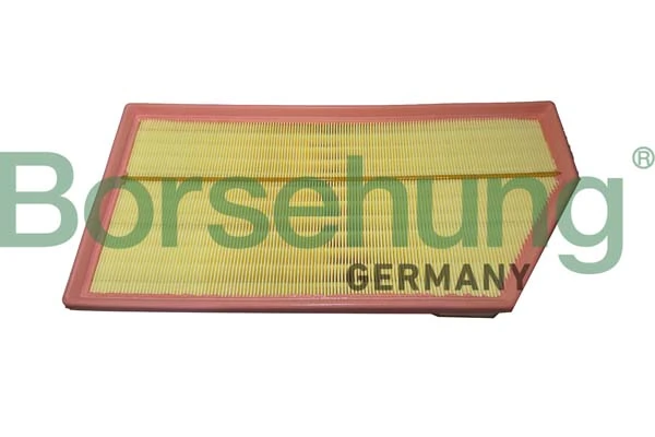 B12465 Borsehung