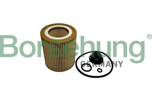 B10439 Borsehung