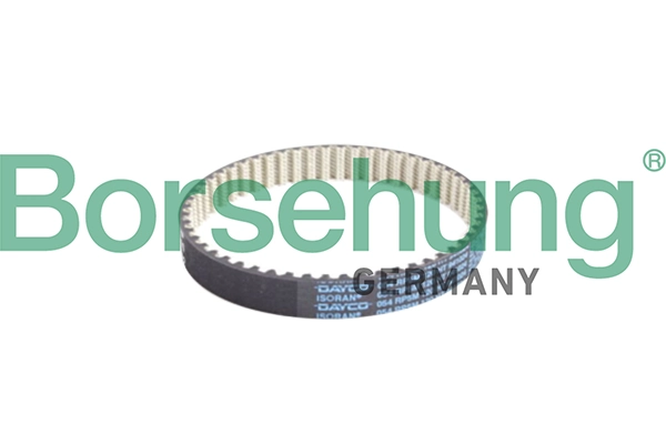 B10231 Borsehung