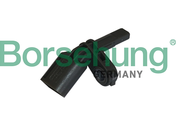B11850 Borsehung