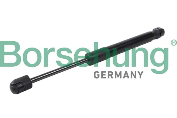 B12058 Borsehung