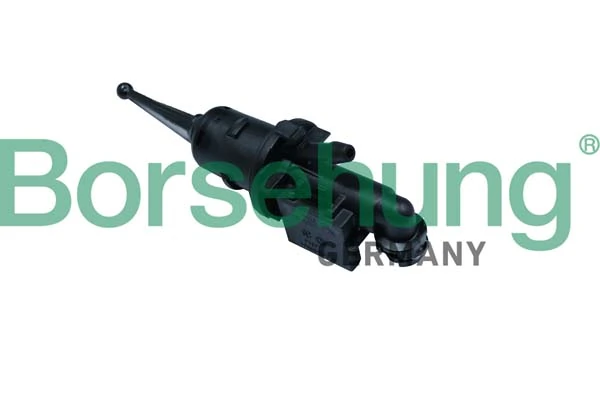 B17868 Borsehung