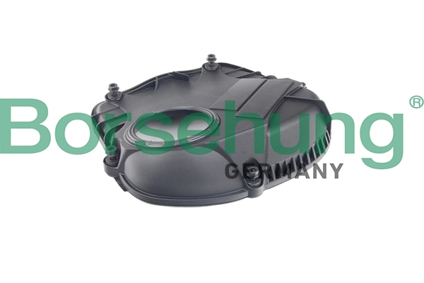 B18676 Borsehung