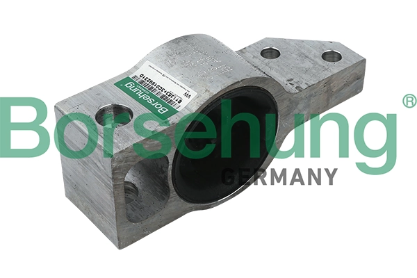 B11353 Borsehung