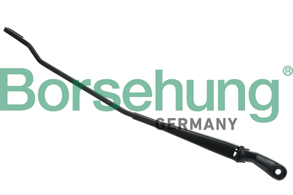 B11466 Borsehung