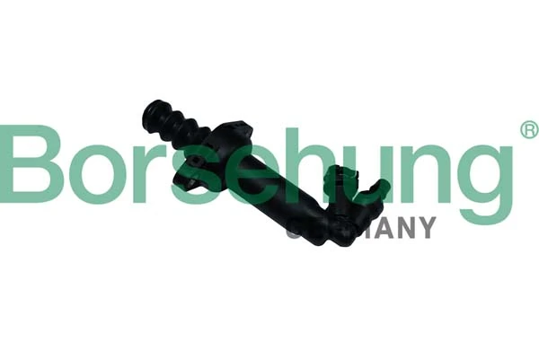 B17990 Borsehung