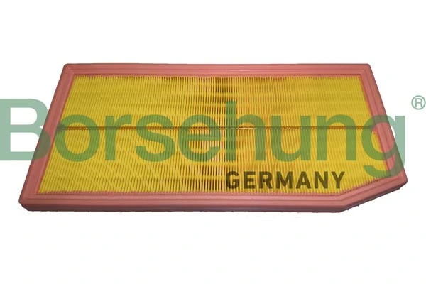 B12448 Borsehung