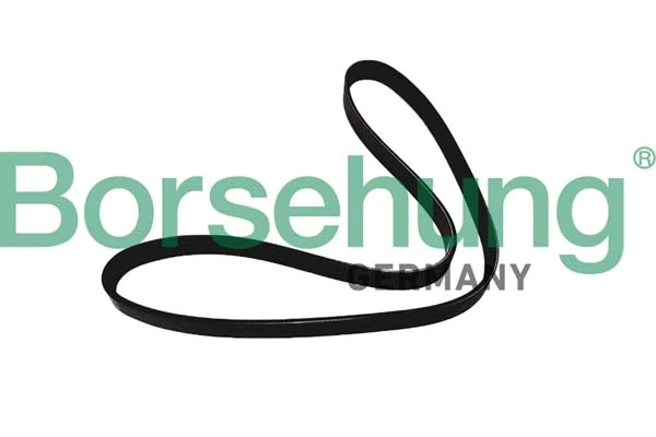 B12386 Borsehung