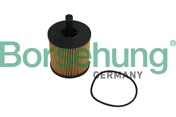 B10548 Borsehung