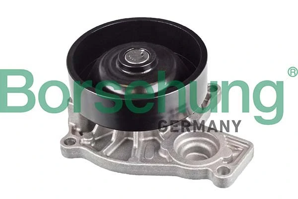 B11219 Borsehung