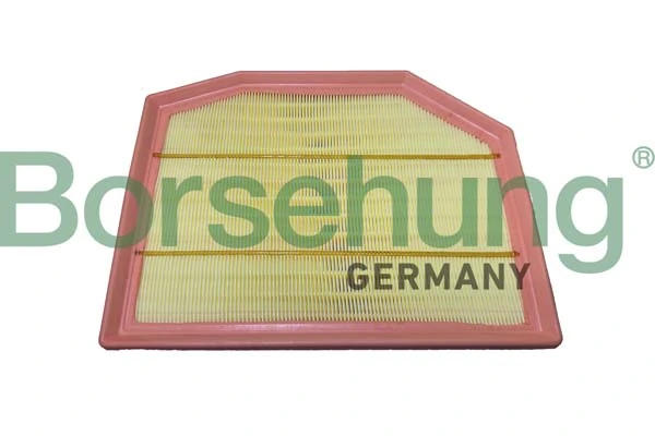 B12436 Borsehung