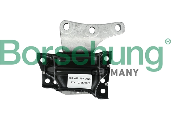 B18513 Borsehung
