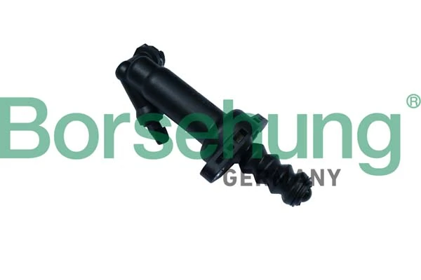 B17866 Borsehung