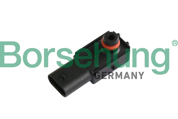 B11875 Borsehung
