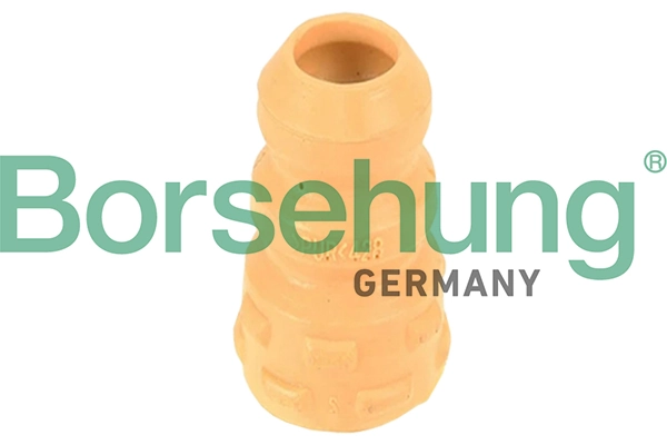 B10005 Borsehung