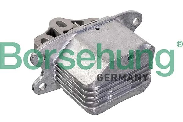 B12640 Borsehung