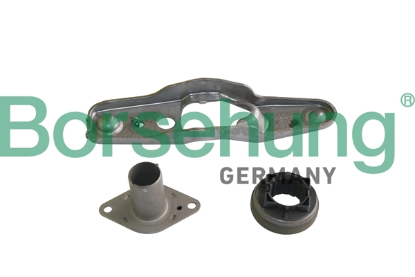 B10915 Borsehung