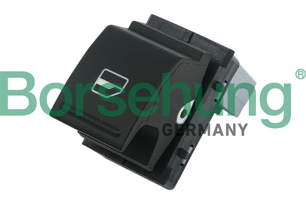 B11406 Borsehung