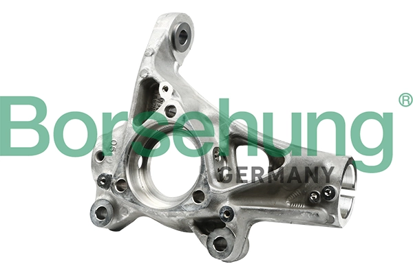 B18511 Borsehung