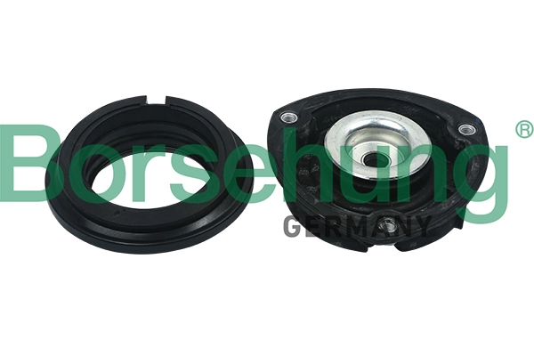 B17909 Borsehung