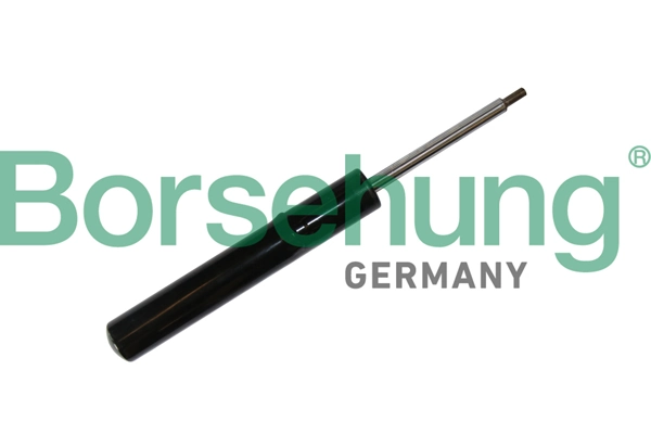 B11180 Borsehung