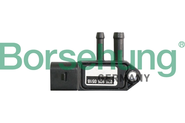 B11884 Borsehung