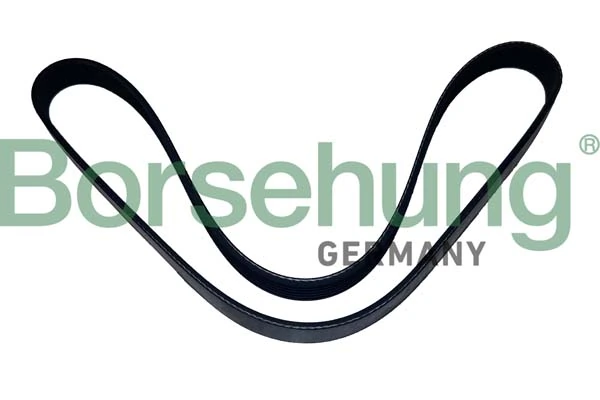 B12502 Borsehung
