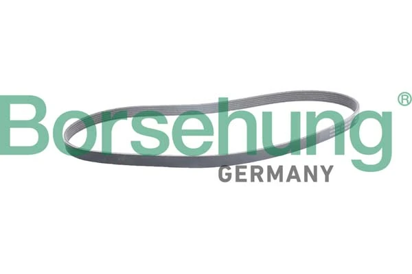 B12387 Borsehung