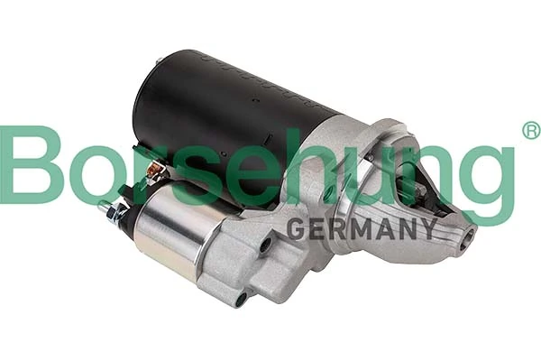 B12035 Borsehung