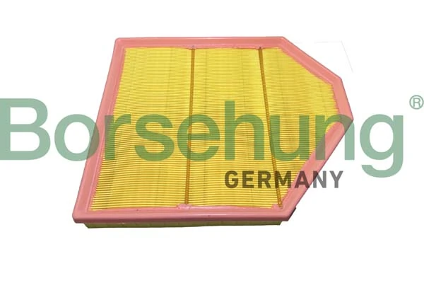 B12461 Borsehung