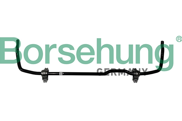 B12629 Borsehung