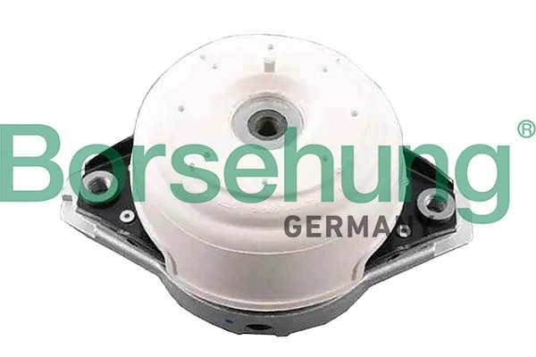 B12657 Borsehung