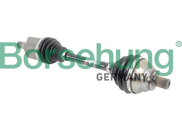 B18349 Borsehung