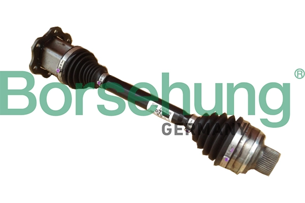 B18739 Borsehung