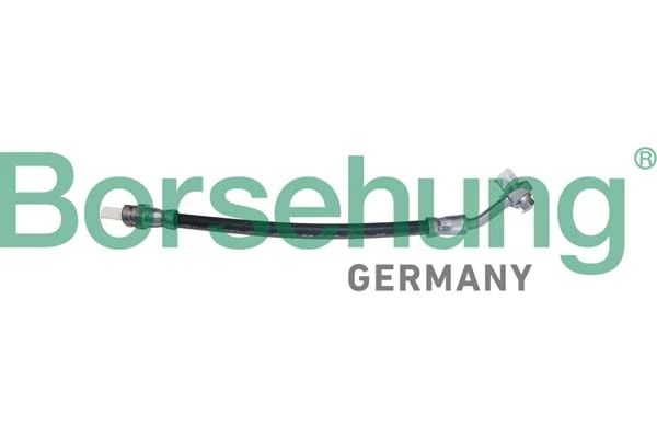 B10949 Borsehung