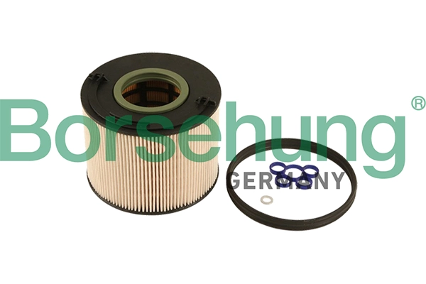 B12201 Borsehung