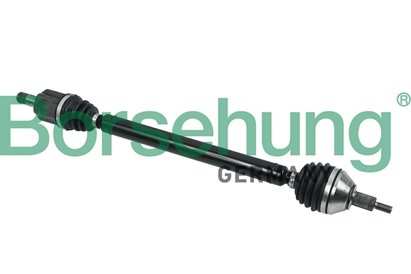 B18418 Borsehung