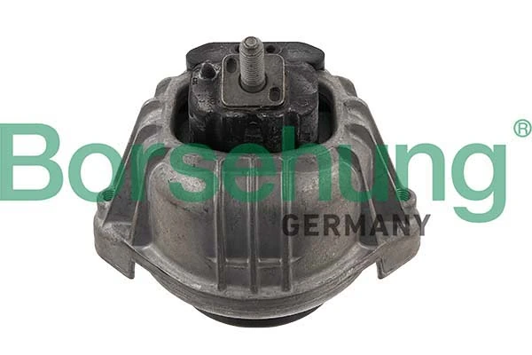 B12642 Borsehung