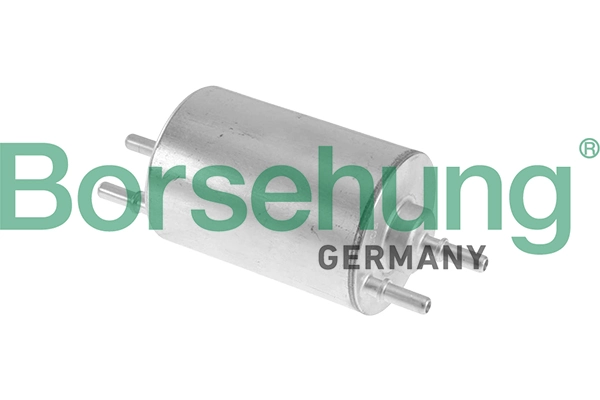 B10479 Borsehung