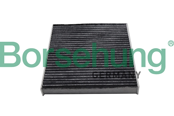 B10513 Borsehung