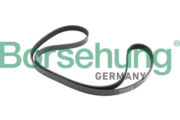 B12382 Borsehung