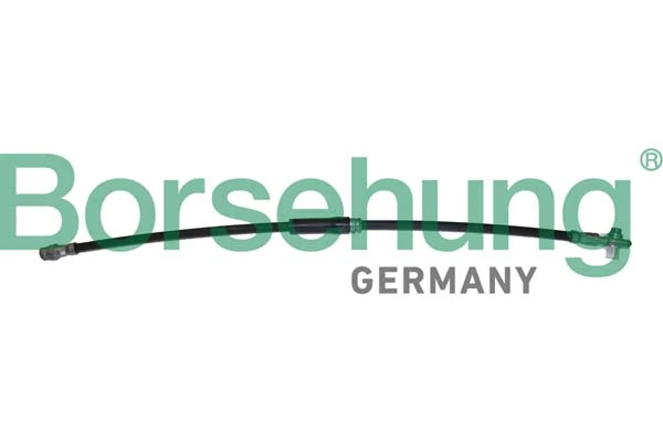 B10953 Borsehung