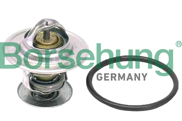 B18262 Borsehung
