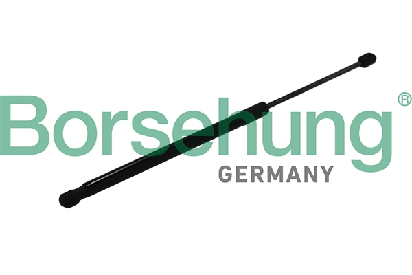 B19169 Borsehung