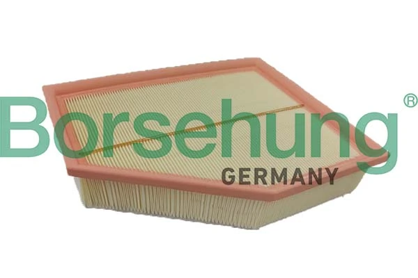 B12699 Borsehung
