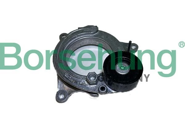 B12468 Borsehung