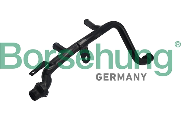 B19263 Borsehung